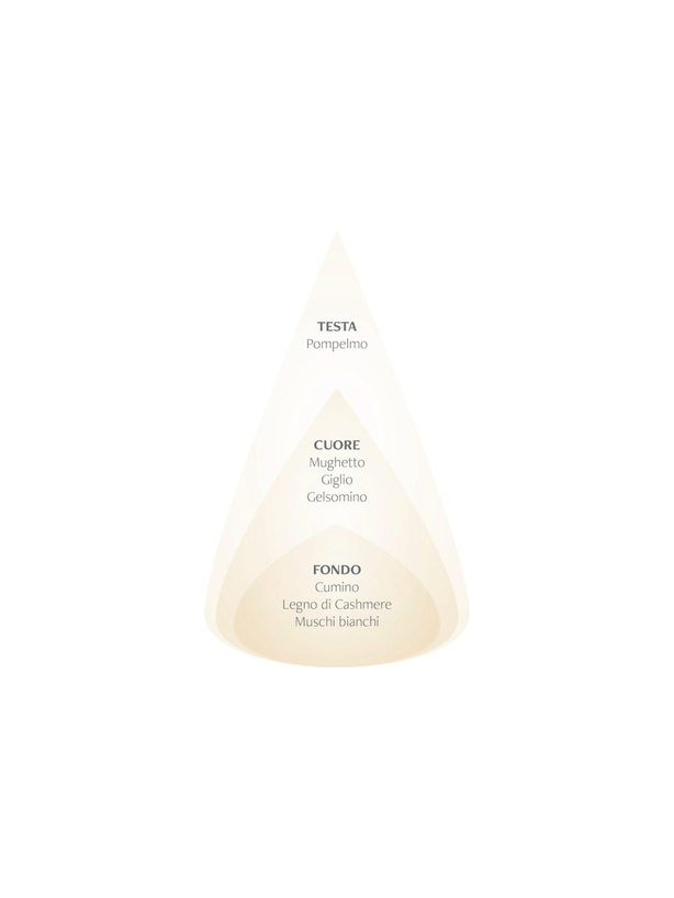 Naso_Piramidi_Soffio_proportional_614x818