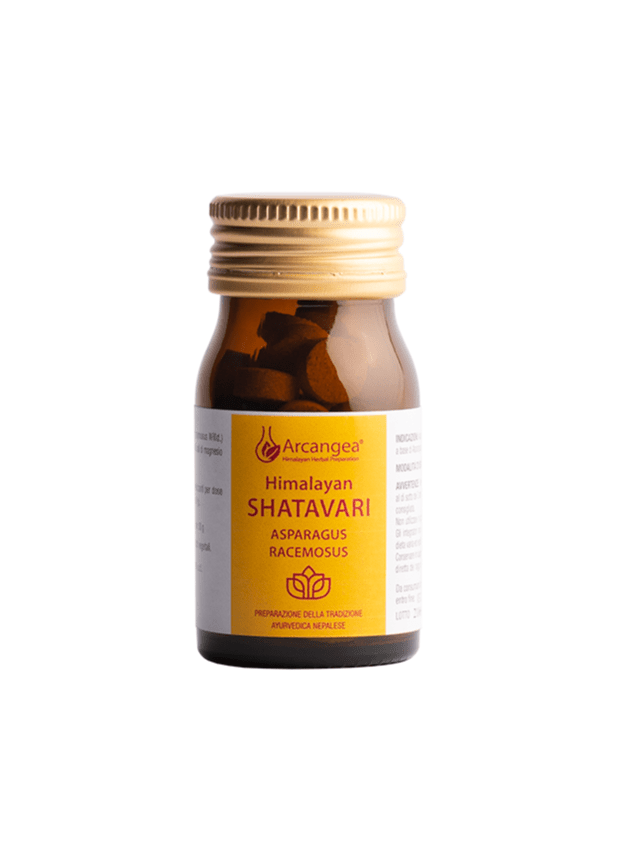 Shatavari Shatavari - immagine 1