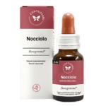 Nocciolo Basegemmo 30ml