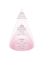 Diffusore a bastoncini Rosa Damascena e Limetta 100 ml - immagine 2